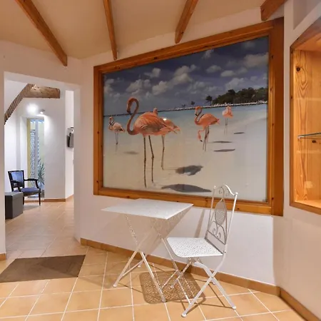Izzhome Flamingo קליארי